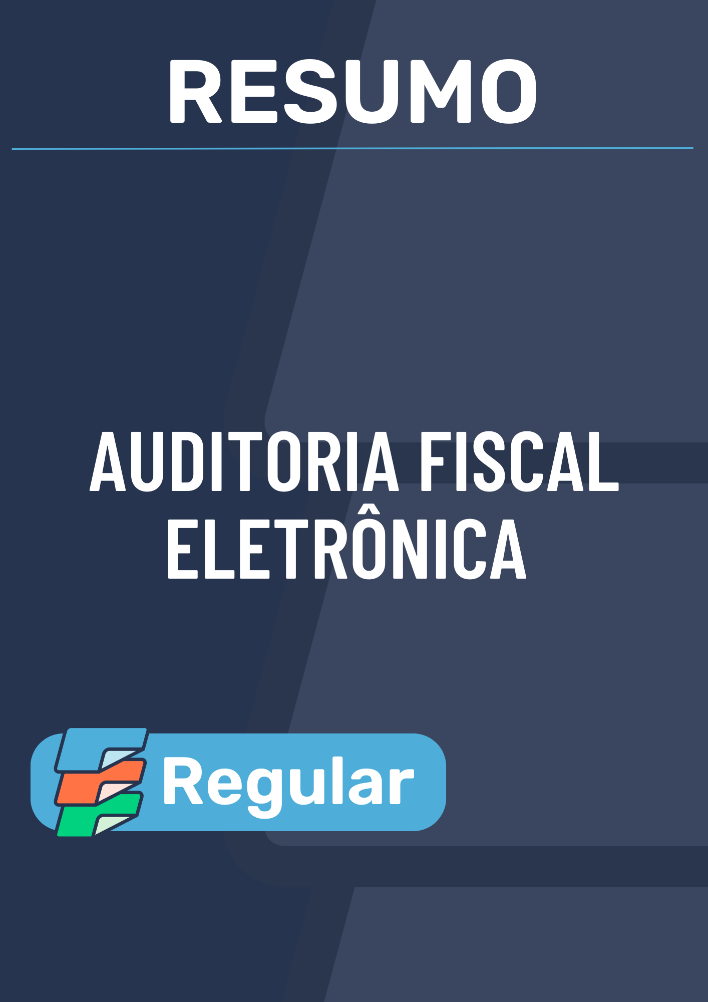 Resumo Auditoria Fiscal Eletrônica